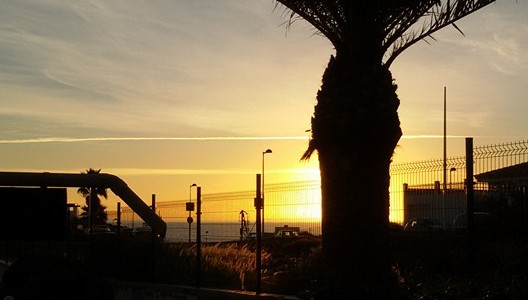 12509257_10201335450944093_8323196573358545350_n