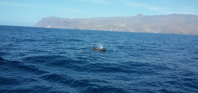 12552575_10201360872219609_2221879617781802153_n