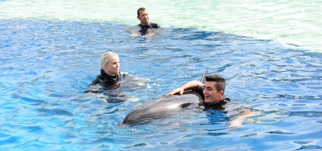 15129657_1201070470001185_3280743838850575558_o