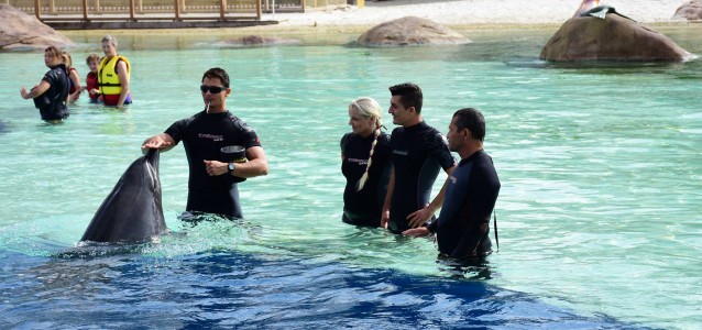 15326272_1824168164491425_2272838949961987788_o