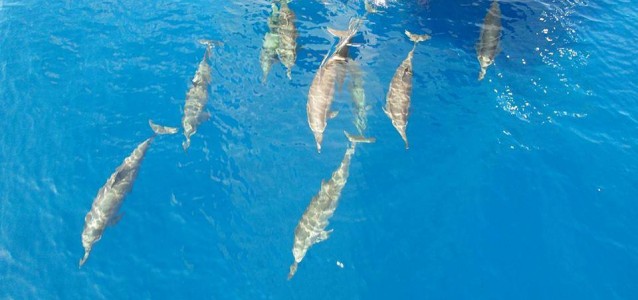 15337383_703938803096523_3361003251380965768_n