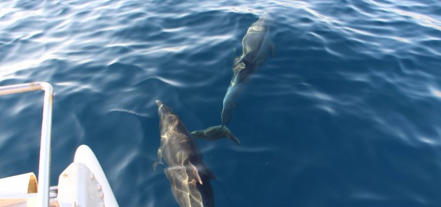 15625700_10202587858373496_2067430344358323366_o