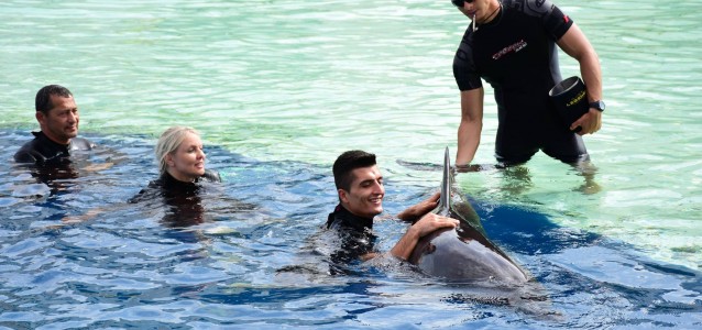 19264387_1919126651662242_4821472800111736904_o