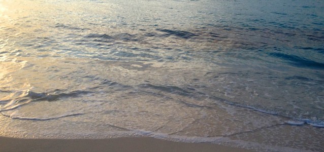 1933166_10151133964901234_502285959_o