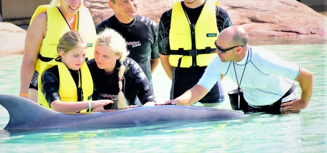 20121504_1452814991493397_8187804763620066287_o