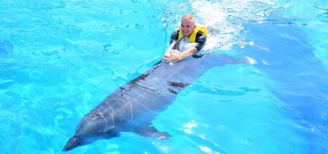 20157784_1460070504101179_3645145308883466624_o