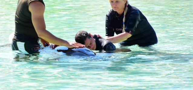 20451962_1939144912993749_3105169194480878771_o