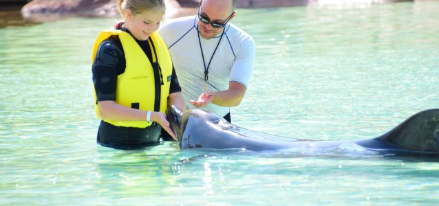 22382437_1968368043404769_3396413041558062738_o (1)