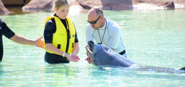 22384040_1968368090071431_4330887039184935439_o