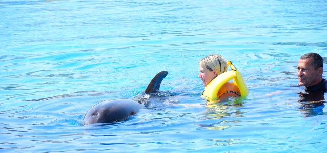 22424376_1968023800105860_7621076469026643676_o