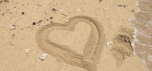 24131253_1852063821488023_8100608457261061250_n