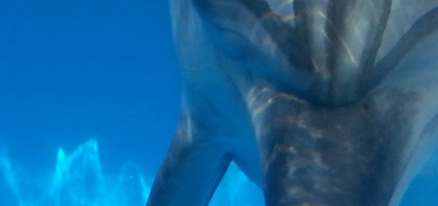 298455228_5376888122419378_2121072489567913268_n