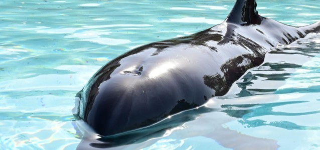 514057293_23893891136959129_3462913630956449334_n