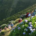 Wandern oder Wandercoaching inmitten der Natur