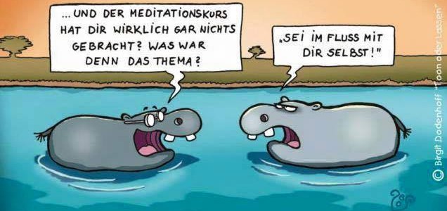 12020002_1068049273228351_7773532079938727248_n